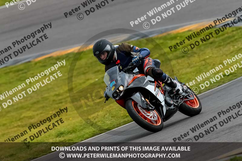 PJ Motorsport 2019;anglesey no limits trackday;anglesey photographs;anglesey trackday photographs;enduro digital images;event digital images;eventdigitalimages;no limits trackdays;peter wileman photography;racing digital images;trac mon;trackday digital images;trackday photos;ty croes